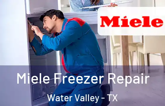  Miele Freezer Repair Water Valley - TX
