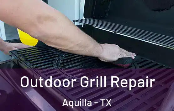  Outdoor Grill Repair Aquilla - TX