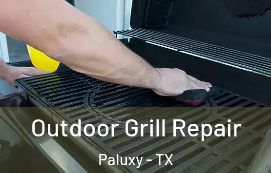  Outdoor Grill Repair Paluxy - TX