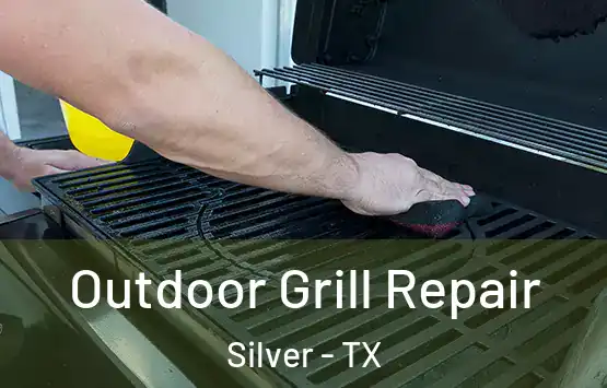  Outdoor Grill Repair Silver - TX
