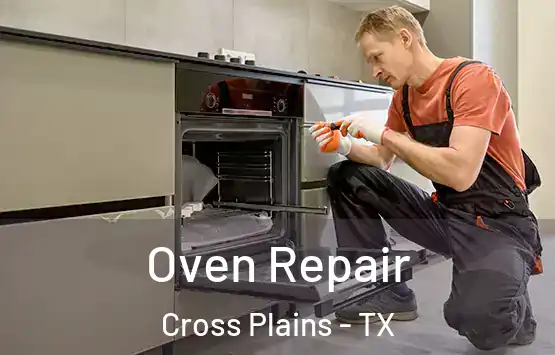  Oven Repair Cross Plains - TX