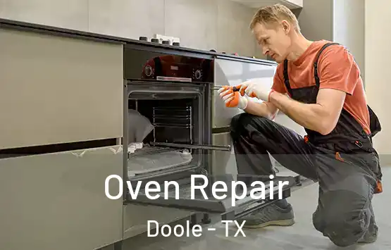  Oven Repair Doole - TX