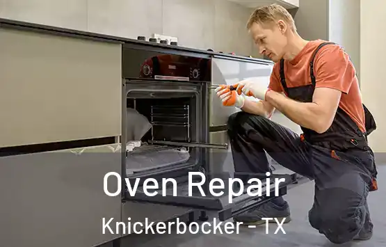  Oven Repair Knickerbocker - TX