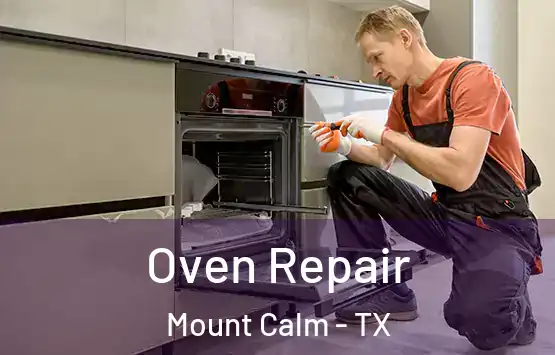  Oven Repair Mount Calm - TX