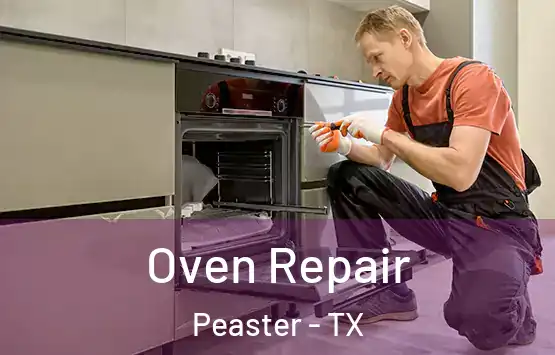  Oven Repair Peaster - TX