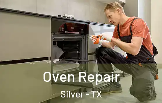  Oven Repair Silver - TX