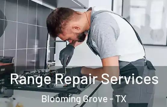  Range Repair Services Blooming Grove - TX