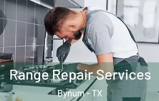  Range Repair Services Bynum - TX