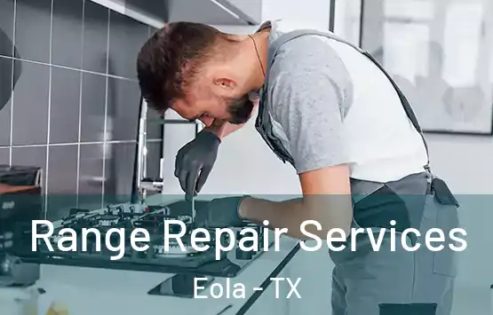  Range Repair Services Eola - TX