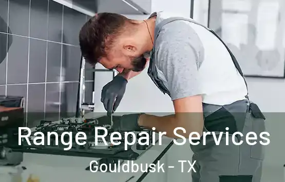  Range Repair Services Gouldbusk - TX