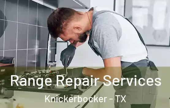  Range Repair Services Knickerbocker - TX