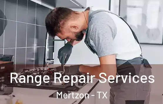  Range Repair Services Mertzon - TX