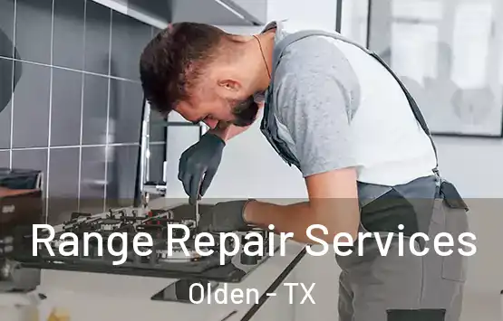  Range Repair Services Olden - TX