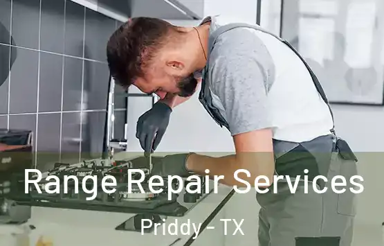  Range Repair Services Priddy - TX