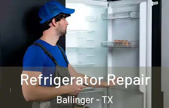  Refrigerator Repair Ballinger - TX