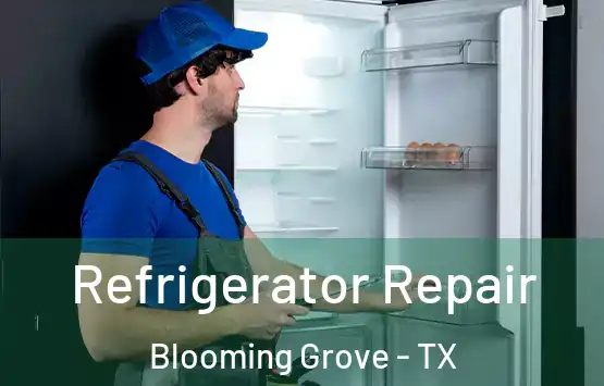  Refrigerator Repair Blooming Grove - TX