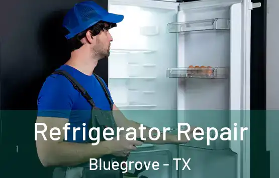  Refrigerator Repair Bluegrove - TX
