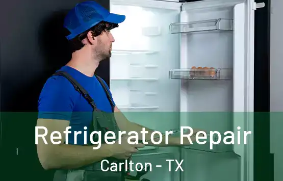  Refrigerator Repair Carlton - TX