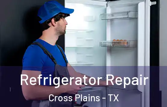  Refrigerator Repair Cross Plains - TX