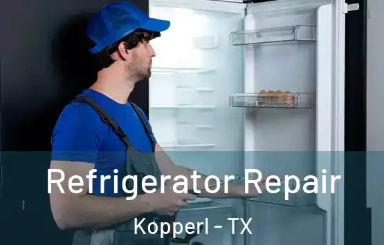  Refrigerator Repair Kopperl - TX