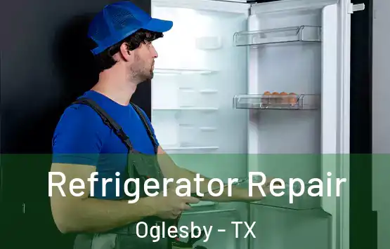  Refrigerator Repair Oglesby - TX