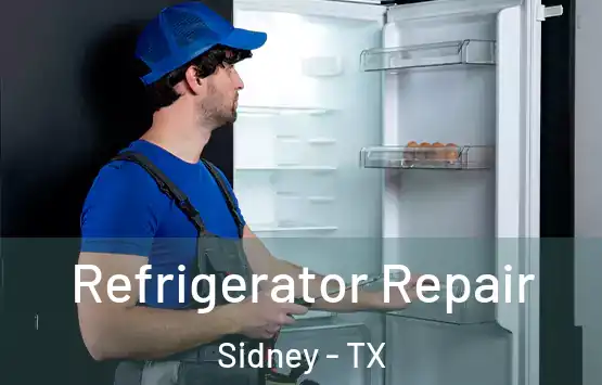  Refrigerator Repair Sidney - TX