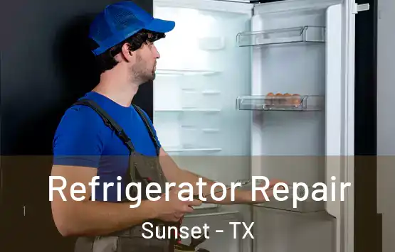  Refrigerator Repair Sunset - TX