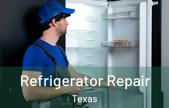  Refrigerator Repair Texas