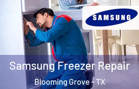  Samsung Freezer Repair Blooming Grove - TX