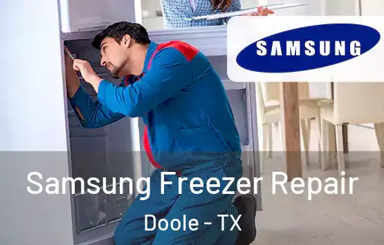  Samsung Freezer Repair Doole - TX