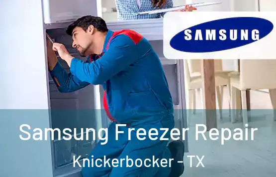  Samsung Freezer Repair Knickerbocker - TX