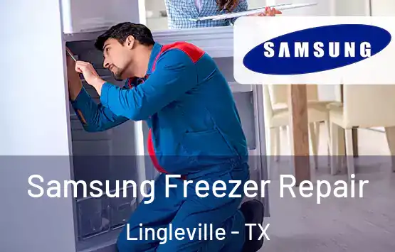  Samsung Freezer Repair Lingleville - TX