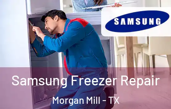  Samsung Freezer Repair Morgan Mill - TX