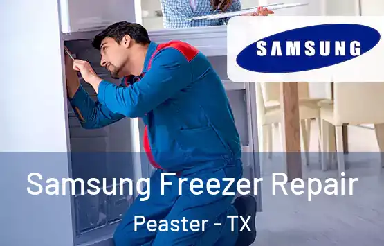  Samsung Freezer Repair Peaster - TX