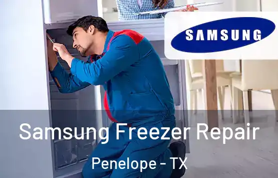  Samsung Freezer Repair Penelope - TX