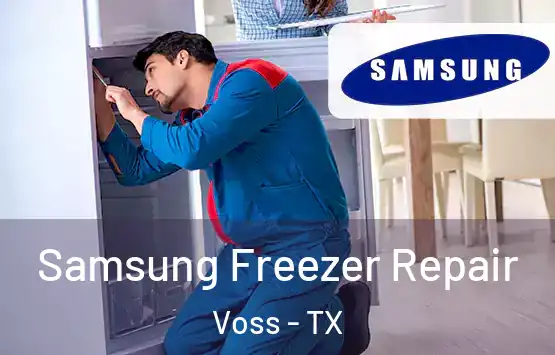  Samsung Freezer Repair Voss - TX
