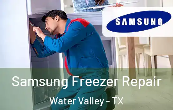  Samsung Freezer Repair Water Valley - TX