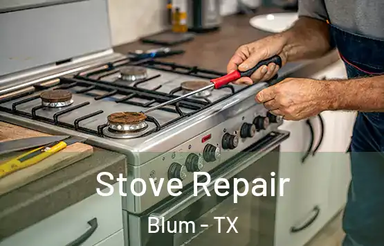  Stove Repair Blum - TX