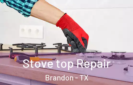  Stove top Repair Brandon - TX