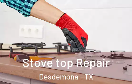  Stove top Repair Desdemona - TX