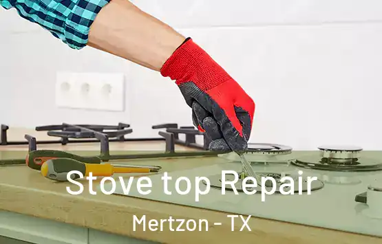  Stove top Repair Mertzon - TX