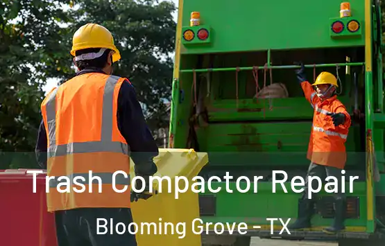  Trash Compactor Repair Blooming Grove - TX