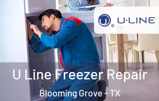 U Line Freezer Repair Blooming Grove - TX