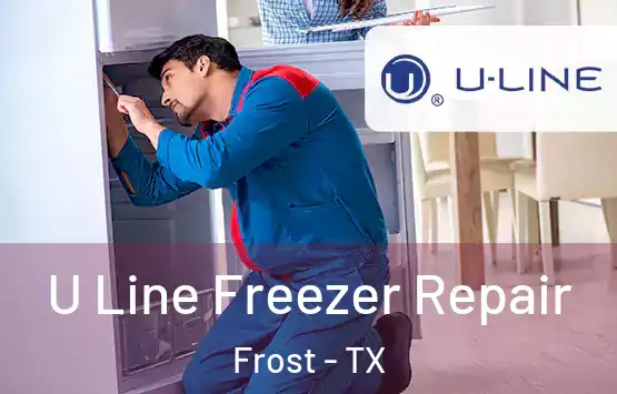  U Line Freezer Repair Frost - TX