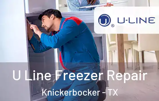 U Line Freezer Repair Knickerbocker - TX