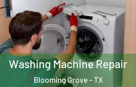  Washing Machine Repair Blooming Grove - TX