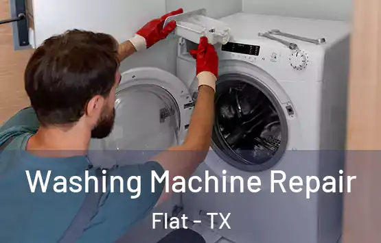  Washing Machine Repair Flat - TX