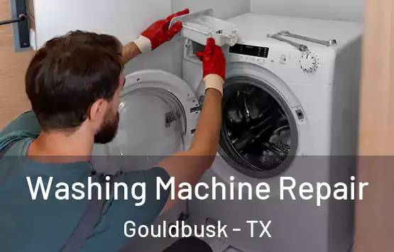  Washing Machine Repair Gouldbusk - TX