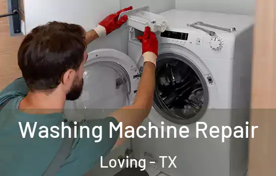  Washing Machine Repair Loving - TX
