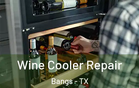  Wine Cooler Repair Bangs - TX